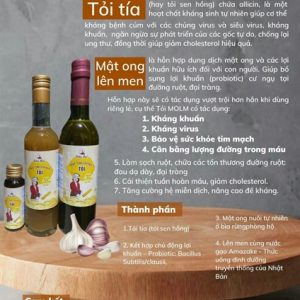 Alternative view of Mật ong lên men tỏi tía 400g